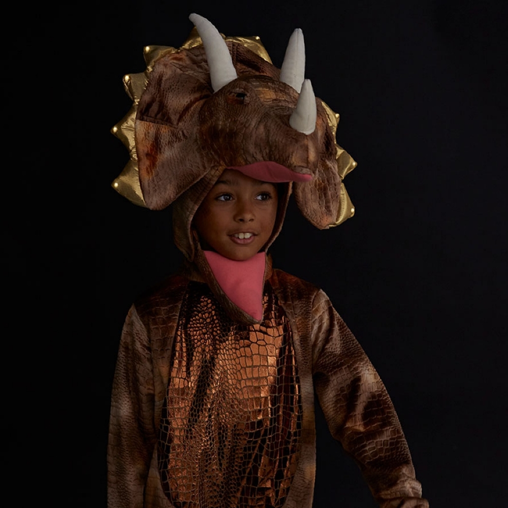Pottery Barn Triceratops Costume